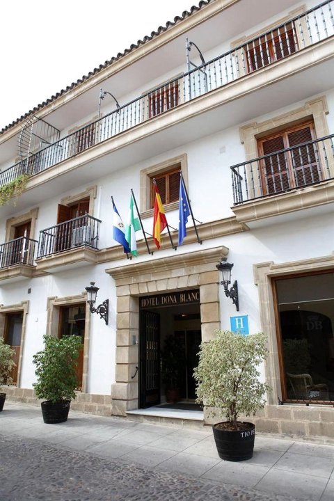 多尼亚布兰卡酒店(Hotel Doña Blanca)