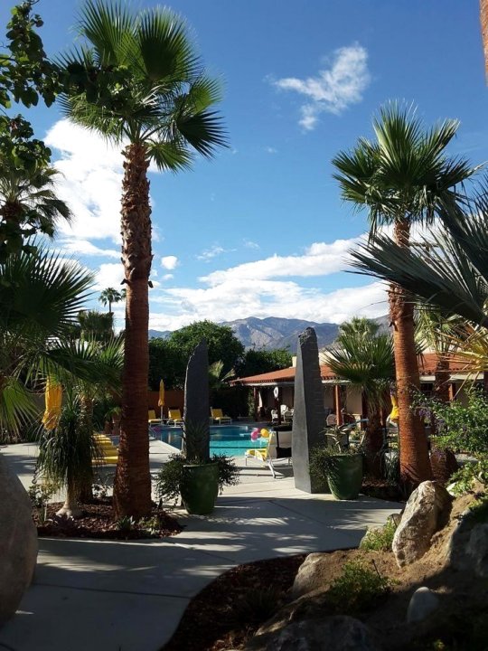 潜水棕榈泉酒店(Dive Palm Springs)