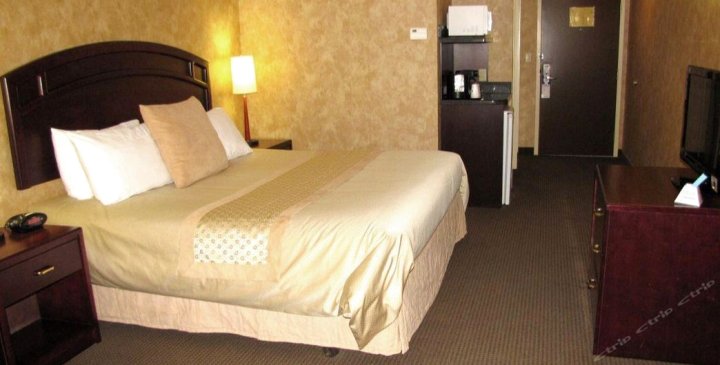 马斯科卡贝斯特韦斯特优质酒店(Best Western Plus Muskoka Inn)