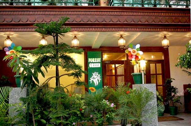 绿森酒店(Hotel Forest Green)