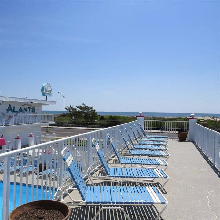 阿兰特海滨汽车酒店(The Alante Oceanfront Motel)