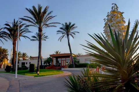 阿卢桑地中海酒店(AluaSun Mediterráneo Hotel)