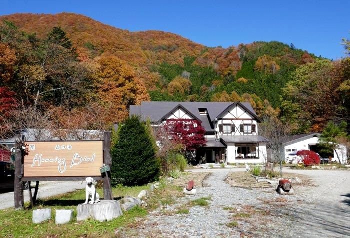 汤西川温泉(Hamming Bird Hotel)