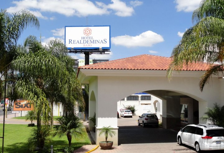 瑞尔德米纳斯巴希奥酒店(Hotel Real de Minas Bajio)