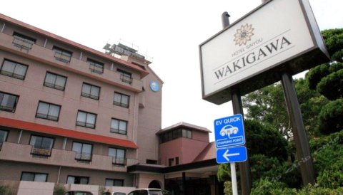 赛雅瓦凯哥酒店(Hotel Saiyo Wakigawa)
