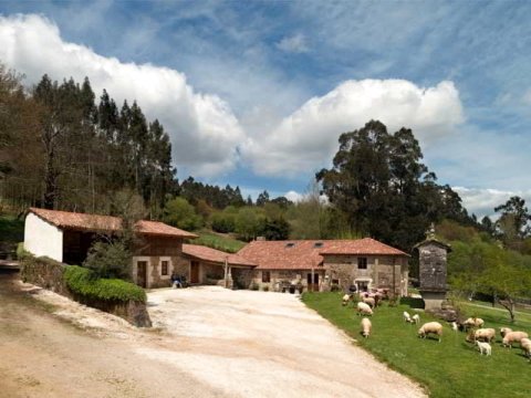 托雷布兰卡旅馆(A Casa da Torre Branca)