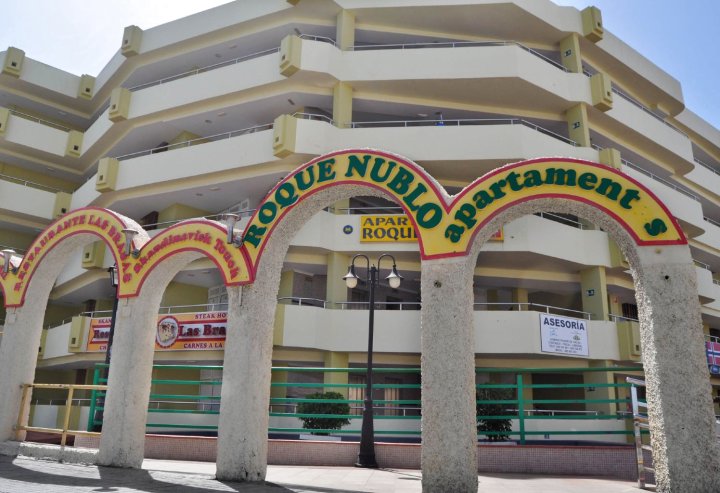 罗克诺布鲁公寓式酒店(Apartamentos Roque Nublo)
