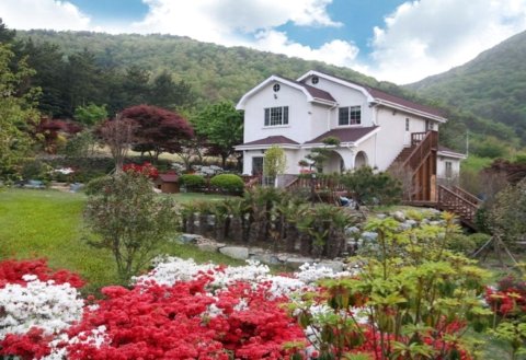 Forest Love Main branch度假屋(Forest Love Pension Main Branch Yeosu)
