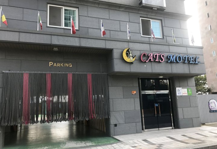 顺天猫咪汽车旅馆(Cats Motel Suncheon)