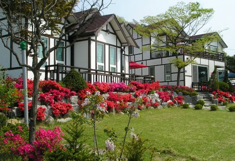 坡州今日花园度假屋(Today Garden Pension Paju)