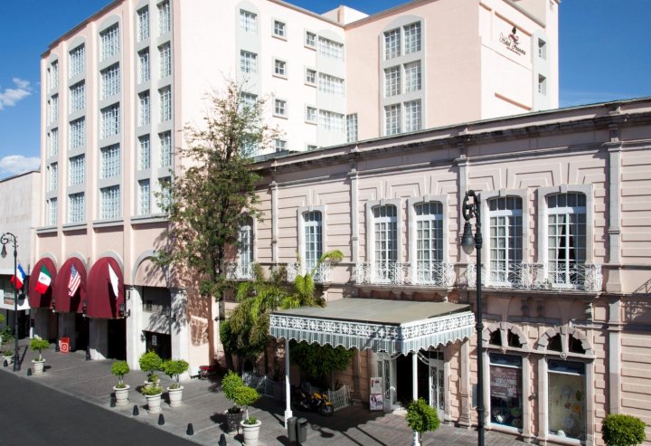 弗朗西亚阿瓜斯卡连特斯酒店(Hotel Francia Aguascalientes)