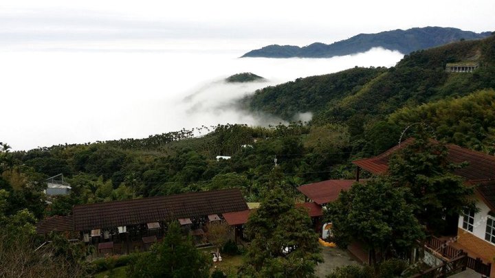 嘉义星光森林民宿(Starlight Forest Hostel)