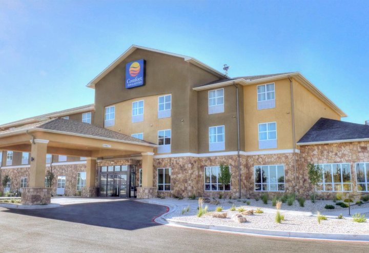 阿蒂西亚舒适酒店(Comfort Inn & Suites Artesia)