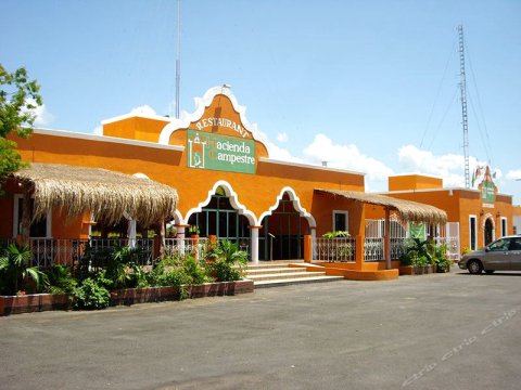 卡佩斯瑞庄园酒店(Hotel Hacienda Campestre)
