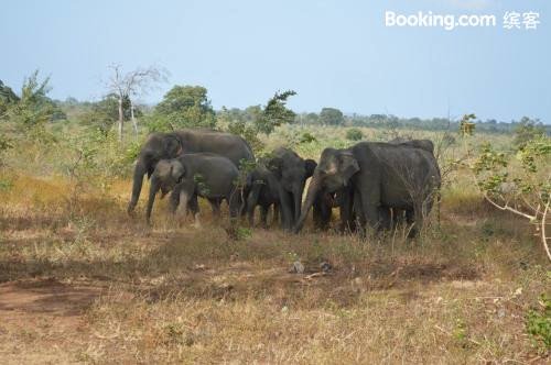 乌达瓦拉韦象属旅馆(Elephas Lodge Udawalawe)