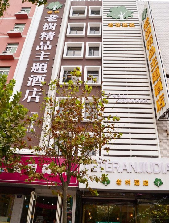 阜阳老树精品主题酒店