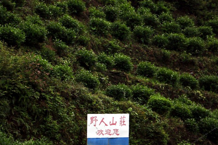 牯牛降野人山庄