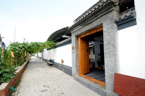 保定王家寨水乡民俗村31号院