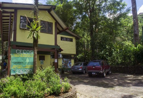 塞尔瓦维德角旅馆(Selva Verde Lodge)