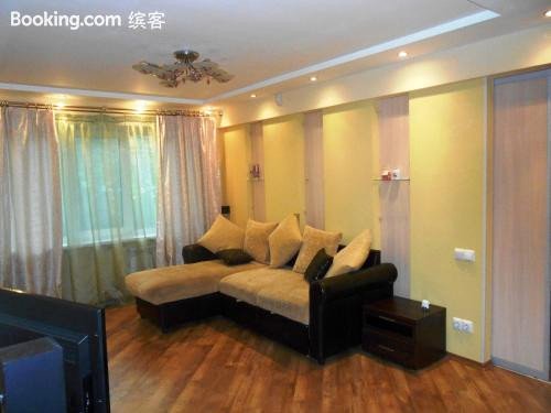 罗蒙诺索娃公寓(Apartment on Lomonosova)