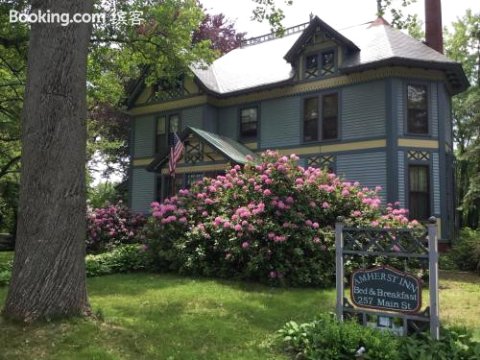 阿默斯特住宿加早餐旅馆(Amherst Inn)