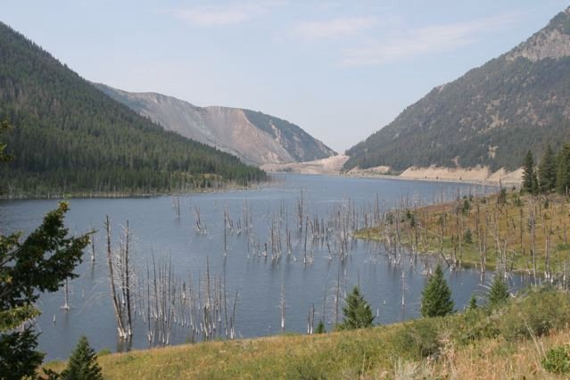 黄石野生动物度假屋(Yellowstone Wildlife Cabins)