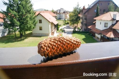 Branka Apartman Zlatibor