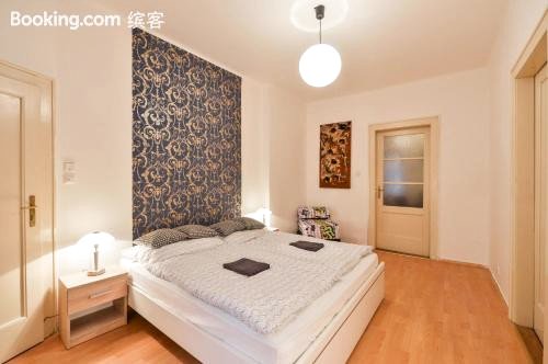 Family 4 Room Apartment 10 Mins from Old Town Center