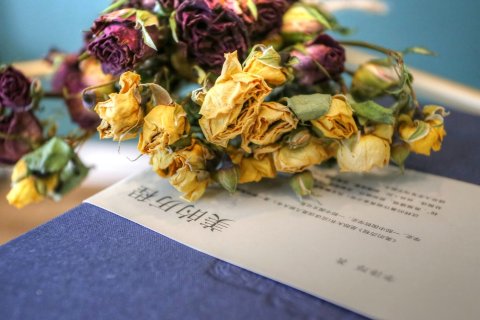 西安步止民宿(2号店)