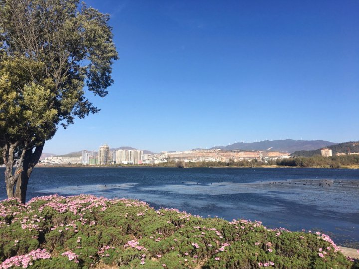 大理沐岑海景民宿