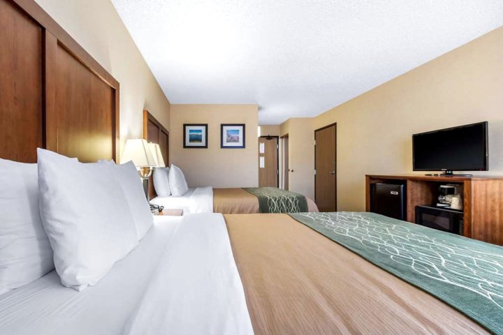西雅图北部博塞尔舒适酒店(Comfort Inn & Suites Bothell – Seattle North)