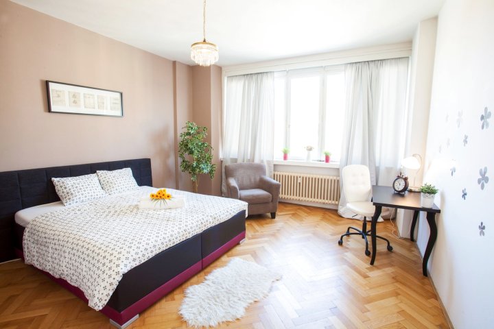 布拉格中心美丽公寓(Lovely Apartment in Prague Center)