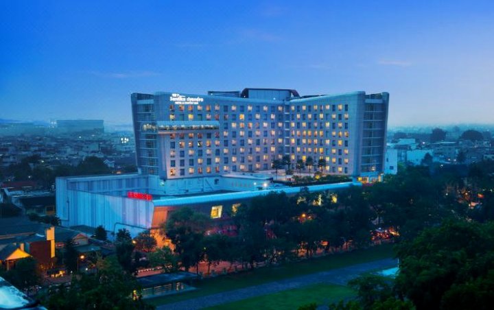 棉兰S山蒂卡首映酒店及会议(Santika Premiere Dyandra Hotel & Convention - Medan)