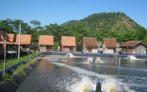 柬埔寨尼拉扬酒店(Kampong Nelayan Resort)