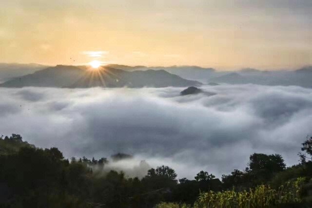 歙县大洲源玉萍山庄
