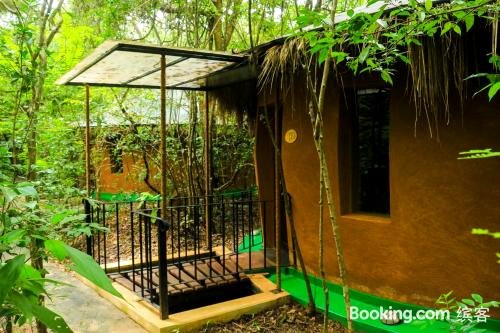 Akein Jungle Resort - Sigiriya