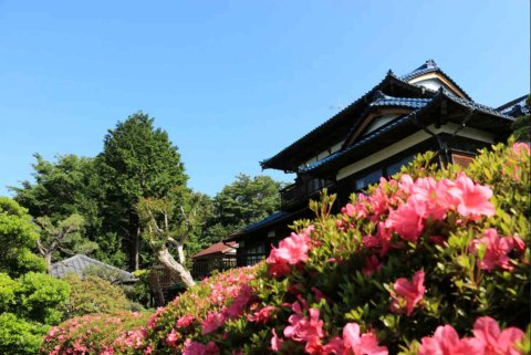 皎月山莊(Kougetsu Sanso-Moon Villa in Tokyo)