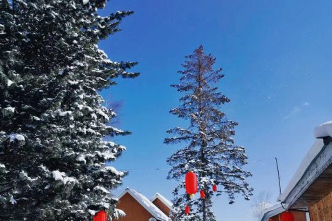 鹿园客栈(长白山黄松蒲检票大厅店)