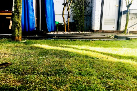 罗平97ROCK书店青年旅舍