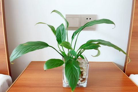 象山木易人家客栈