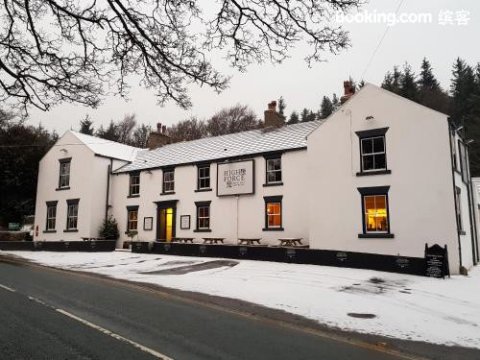 高力酒店(High Force Hotel)