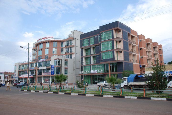 亚的斯亚贝巴酒店(Addis Amba Hotel)