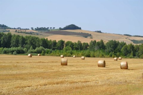 双耳农庄酒店(Agriturismo le Spighe)