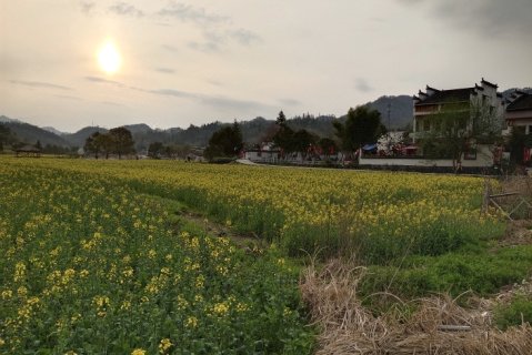 黟县桂花楼客栈