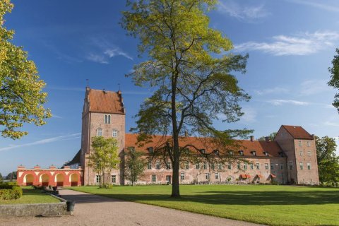 巴卡斯戈斯洛特-加龙省酒店(Bäckaskog Slott)
