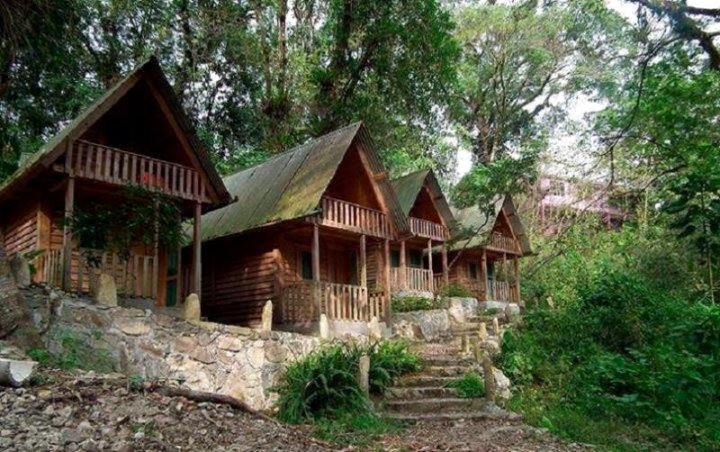 Casa Caracol Xilitla