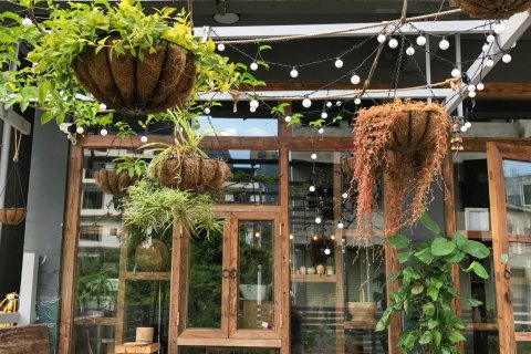 阳朔三十度灰青年旅舍(兴坪古镇店)