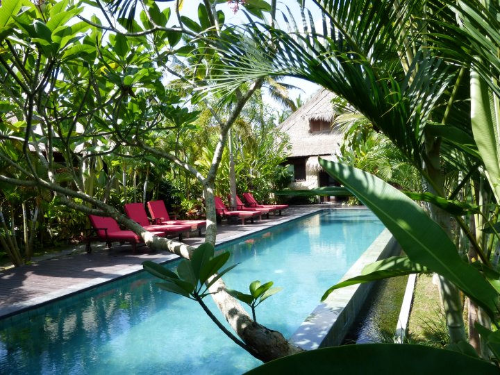 巴厘岛和谐别墅酒店(Bali Harmony Villa)