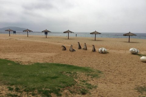 阳江沙扒碧桂园度假公寓