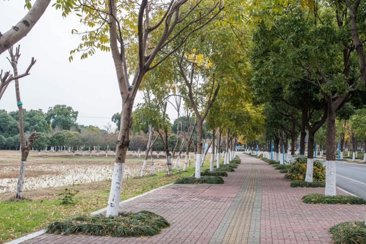 苏州夷亭·池上阳澄湖湖景美居知名美食博主家公寓(2号店)